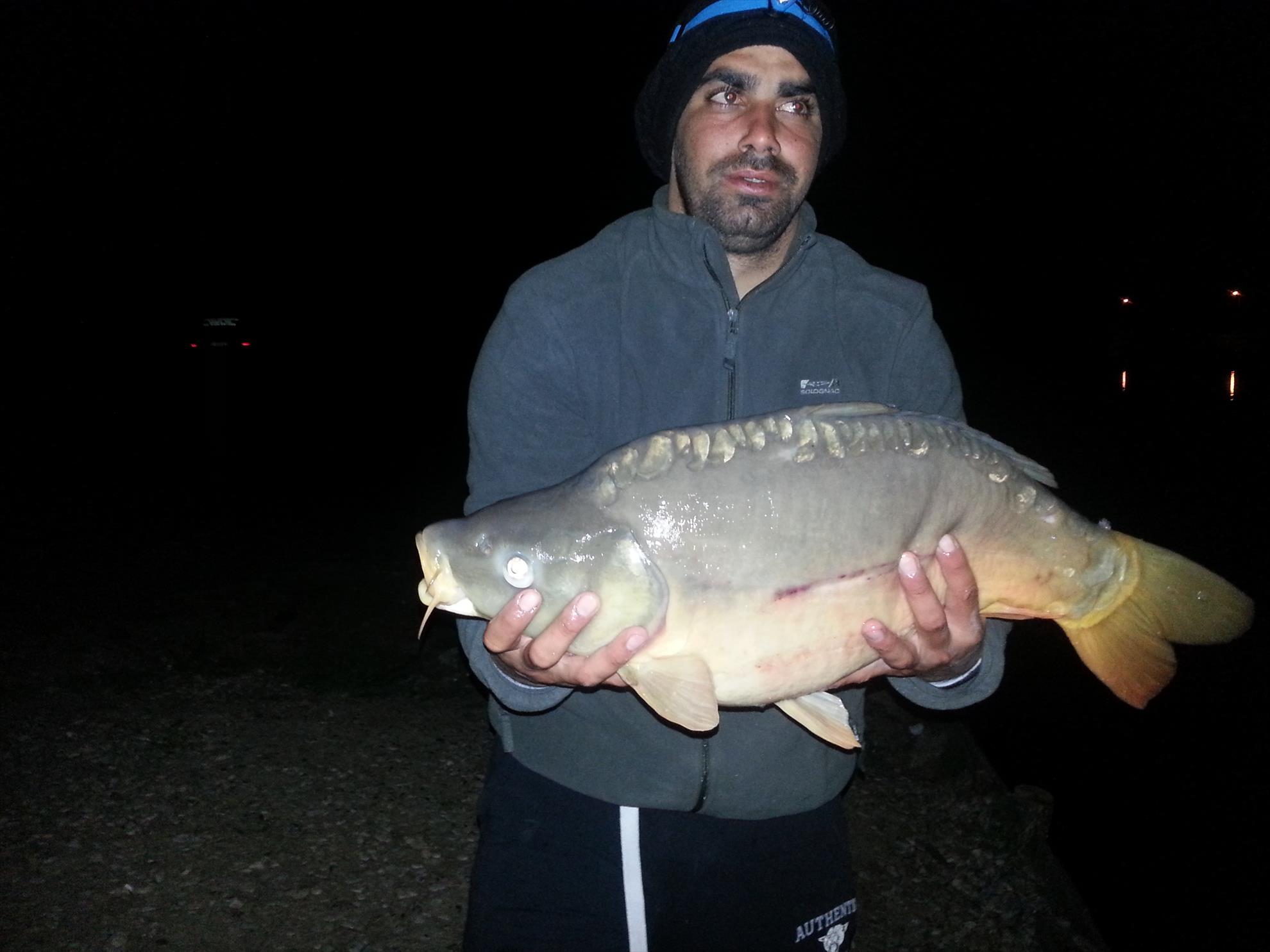 Hermes Peris 3 - 5 aprilie 2015 - 20150405023510.jpg